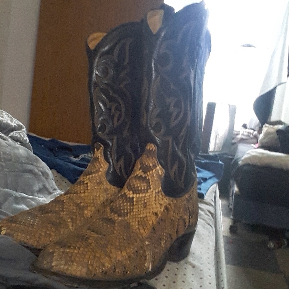 Rattle snake boots
